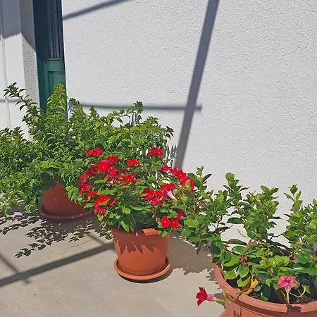 Appartement Gordana Hvar Town