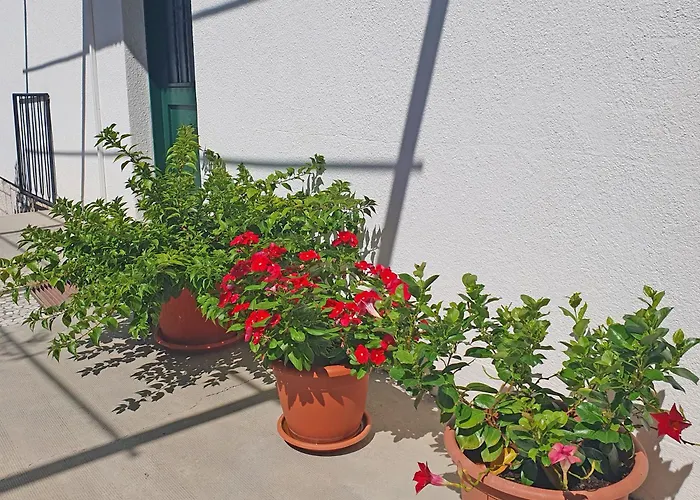 Apartamento Gordana Hvar Town